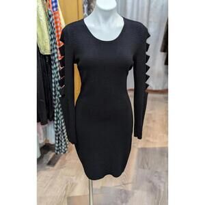 Ribbed  Fitted Sweater Dress